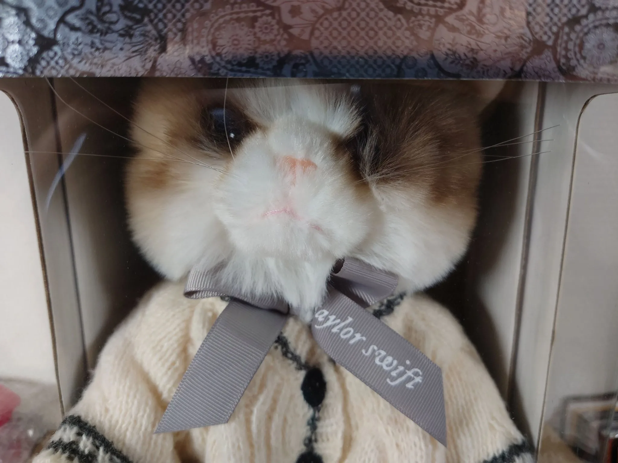 Taylor Swift Folklore Album Cardigan Plush Cat begagnad vinyl online